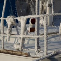 Warme Arktis im Winter
